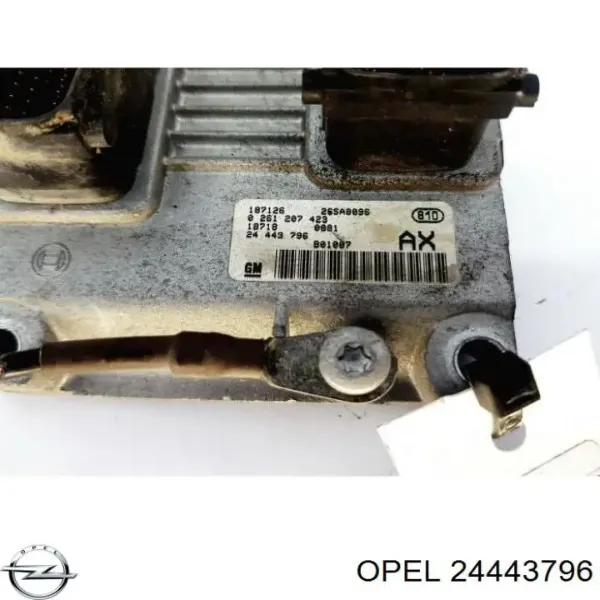 ECU 24443796 General Motors