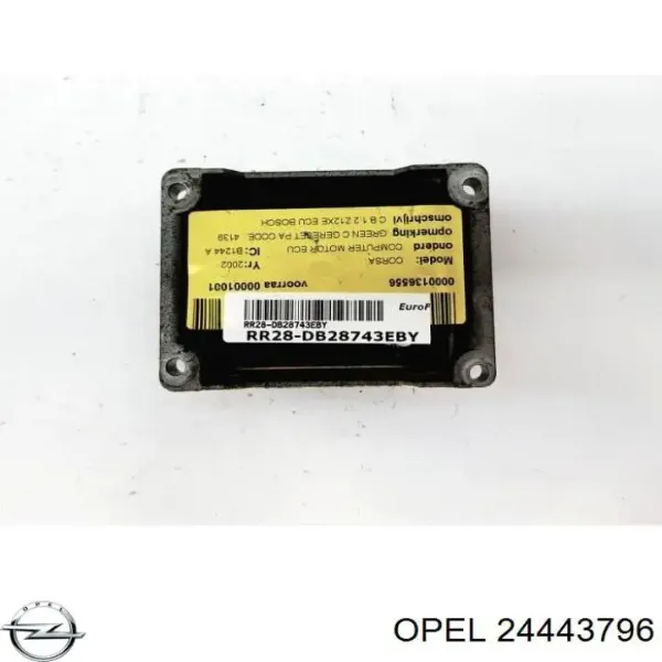 ECU 24443796 General Motors