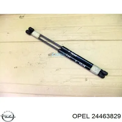 Amortiguador de maletero OPEL 24463829