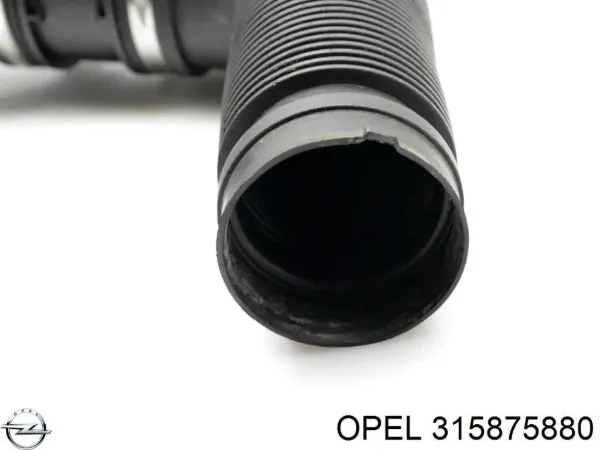  315875880 Opel