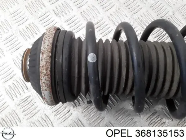  368135153 Opel