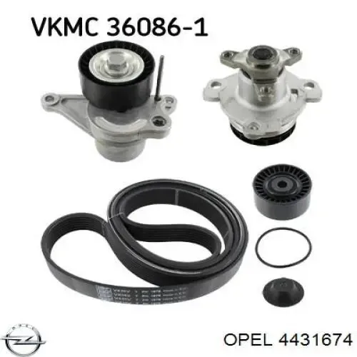 Correa de transmisión 4431674 Opel