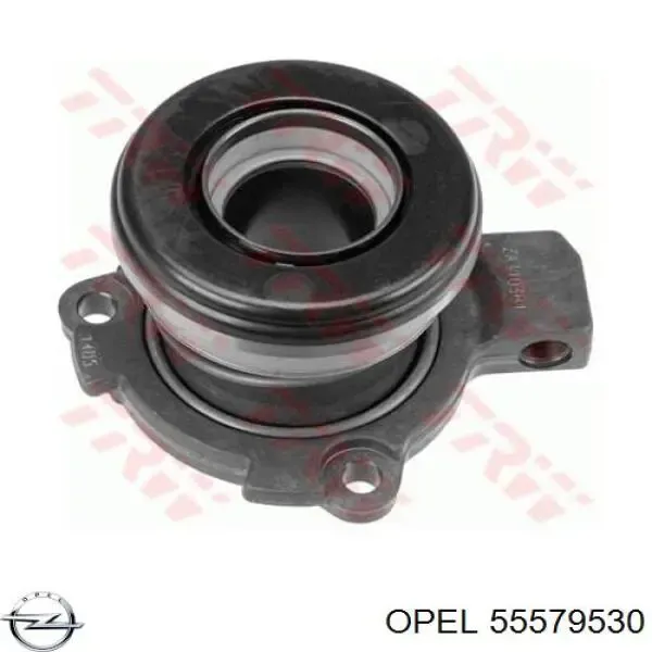 24422061 Opel