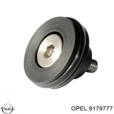 Rodillo central izquierdo de puerta corrediza OPEL 9179777