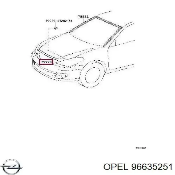 Moldura de capó Chevrolet Epica II