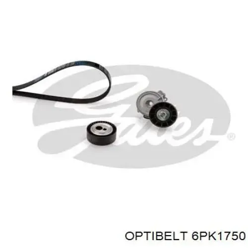 Correa trapezoidal Volkswagen LT 2DB, 2DE, 2DK