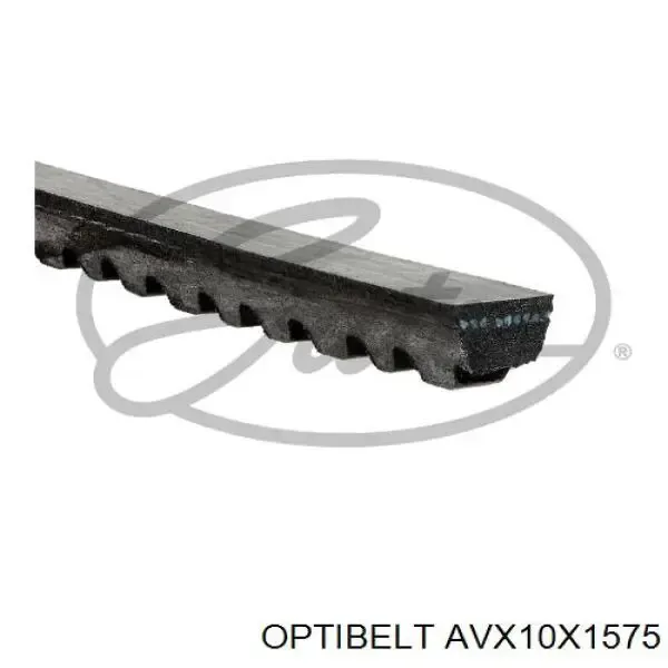 Correa de alternador AVX10X1575 Continental/Siemens