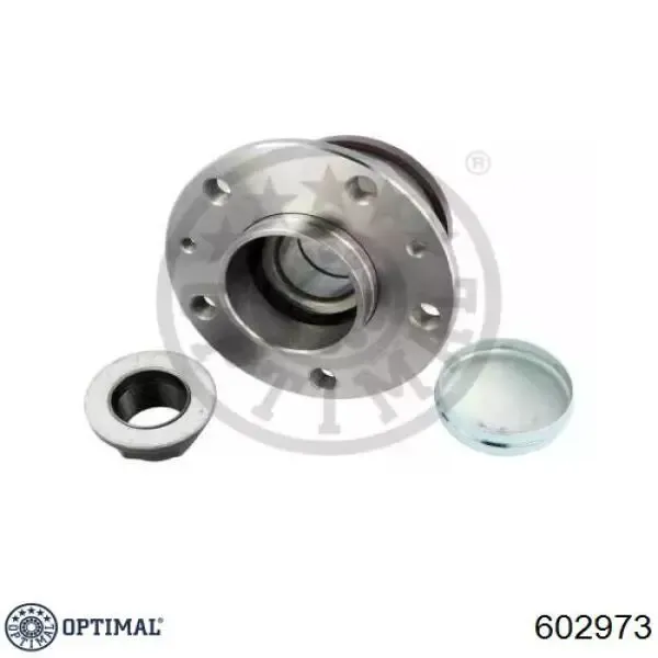 Cubo de rueda trasero Fiat Ducato 3 250