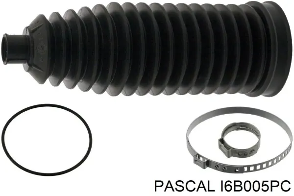 Fuelle, dirección BMW 5 E61
