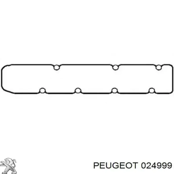 24999 Peugeot/Citroen