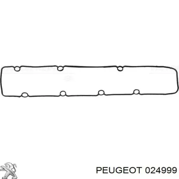 24999 Peugeot/Citroen
