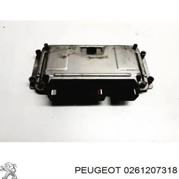  0261207318 Peugeot/Citroen