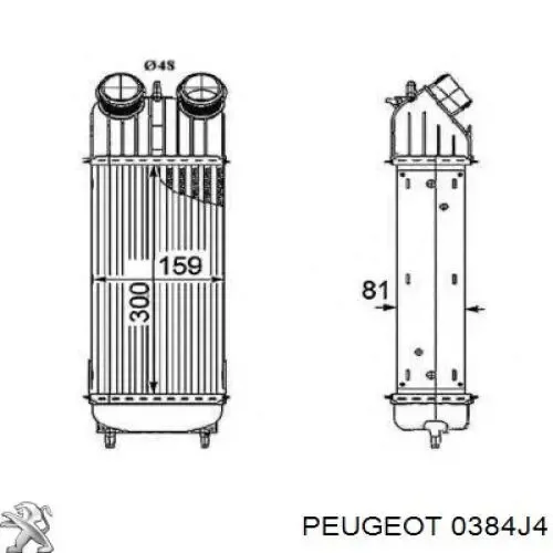 00000384N1 Peugeot/Citroen