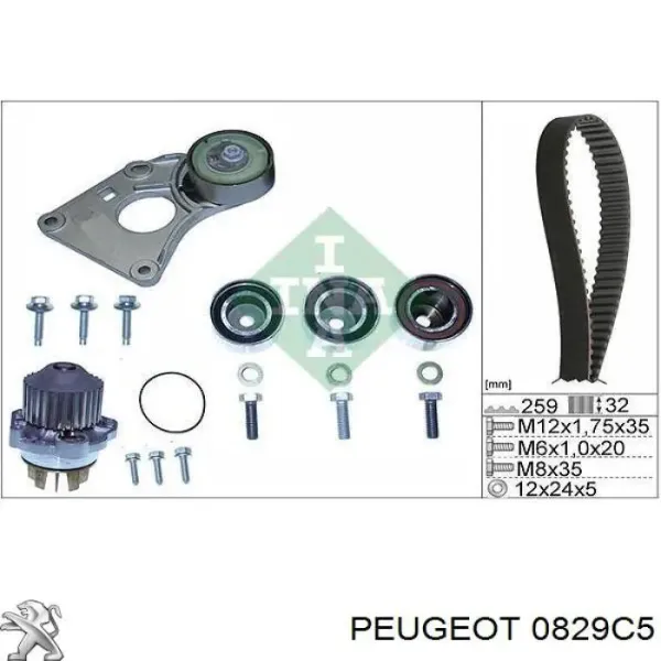 0829C5 Peugeot/Citroen