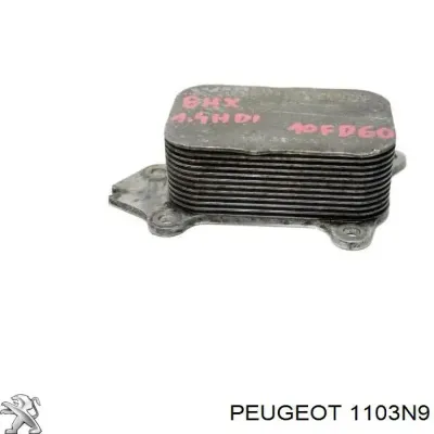 Caja, filtro de aceite PEUGEOT 1103N9