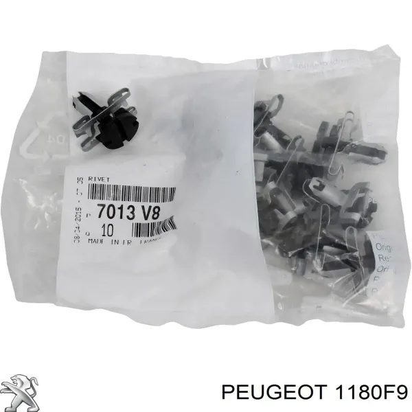 1180F9 Peugeot/Citroen