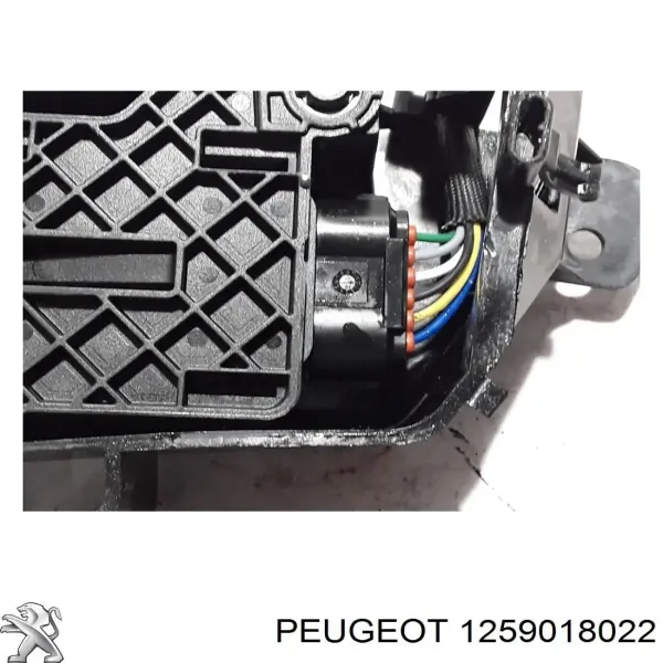 1259018022 Peugeot/Citroen