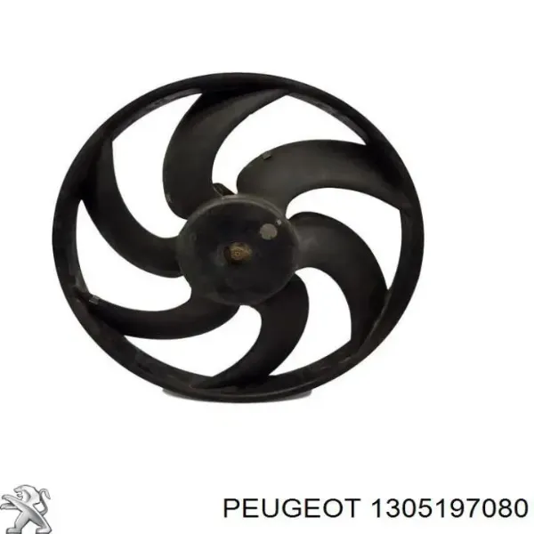  1305197080 Peugeot/Citroen