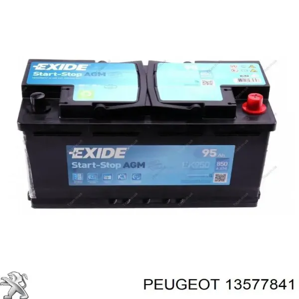 V99170020 Vemo