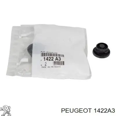 Soporte, Caja filtro de aire PEUGEOT 1422A3
