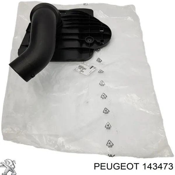 Entrada del filtro de aire Peugeot 307 3A, 3C