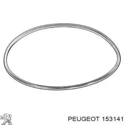 Sello De La Bomba De Combustible PEUGEOT 153141