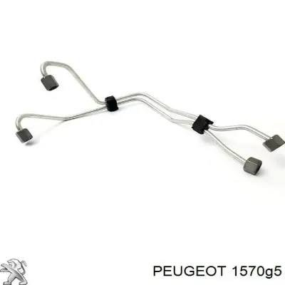 Juego De Tuberias Para Combustibles PEUGEOT 1570G5