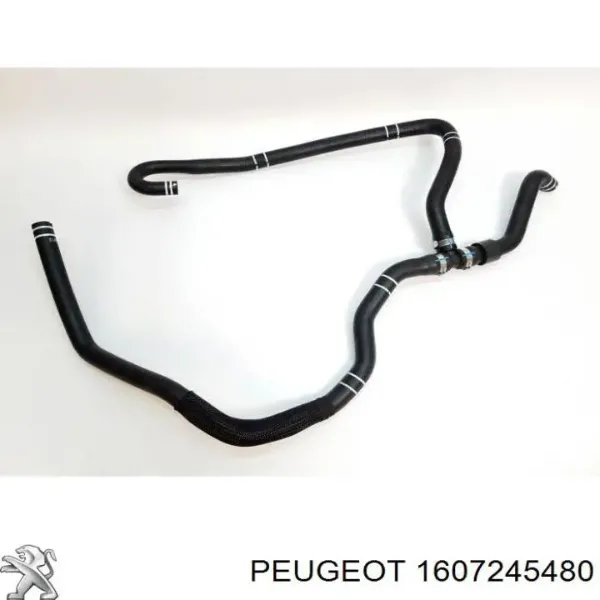 Manguera inferior del vaso de expansión 1369478080 Fiat/Alfa/Lancia