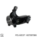Mangueta delantera derecha Citroen C-Elysee 