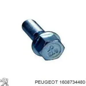 Tornillo de rueda Peugeot Expert VF3V
