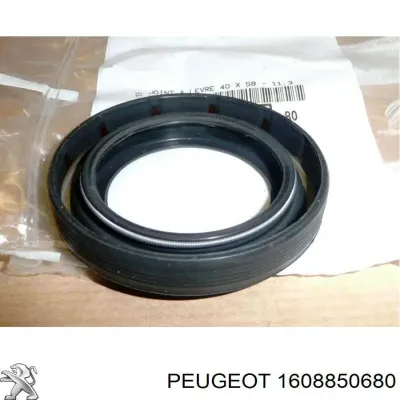 Tornillo de biela PEUGEOT 1608850680