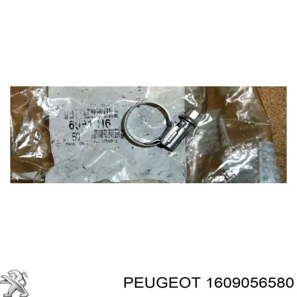 Filtro de habitáculo 1609056580 Peugeot/Citroen