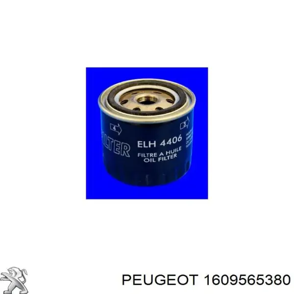 Filtro de aceite 1609565380 Peugeot/Citroen