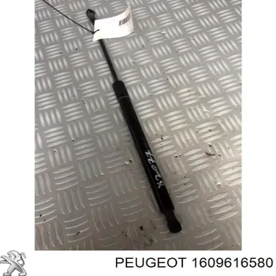 Amortiguador de maletero PEUGEOT 1609616580