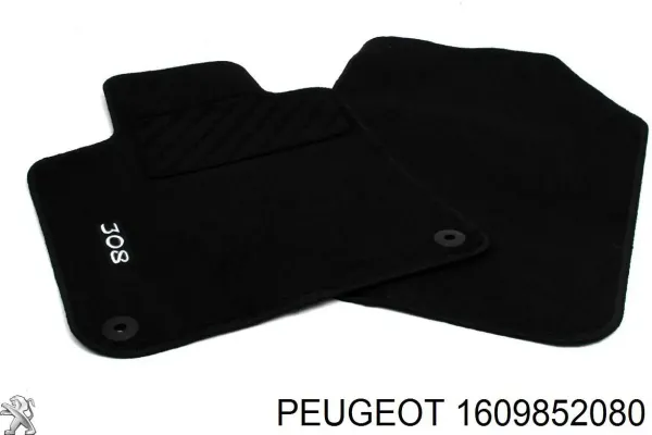  1609852080 Peugeot/Citroen