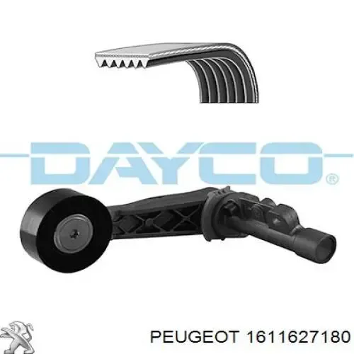 Correa de transmisión 1611627180 Peugeot/Citroen