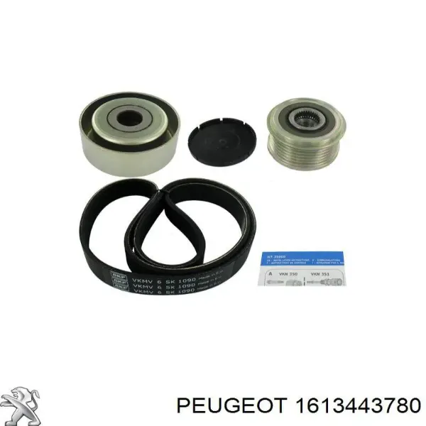 Correa de transmisión 1613443780 Peugeot/Citroen