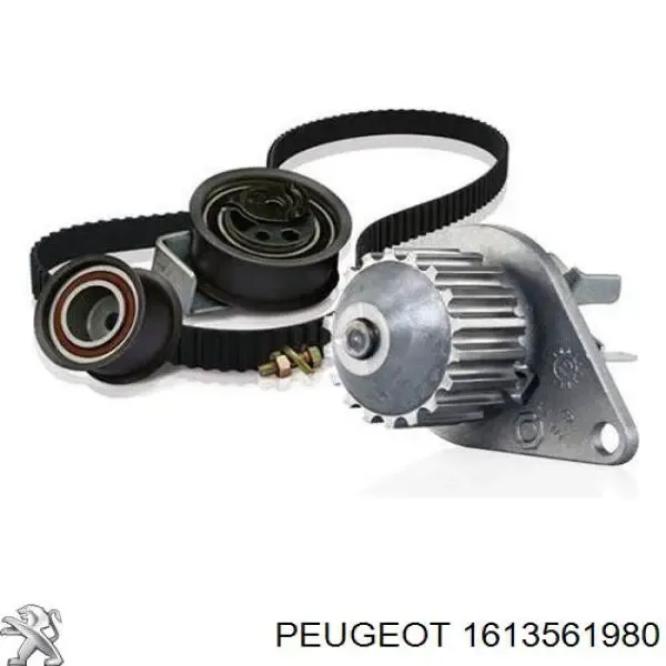 Kit de distribución 1613561980 Peugeot/Citroen