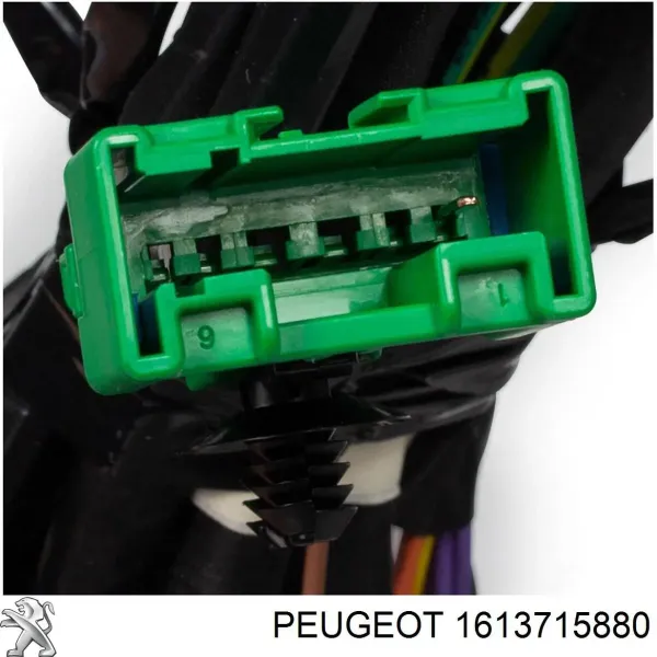  1613715880 Peugeot/Citroen