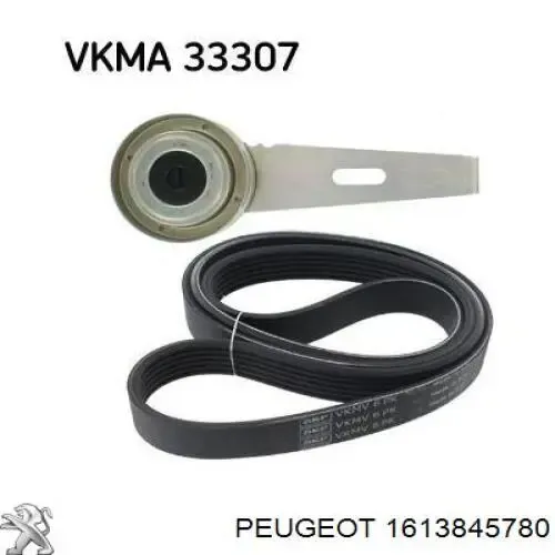 Correa de transmisión 1613845780 Peugeot/Citroen