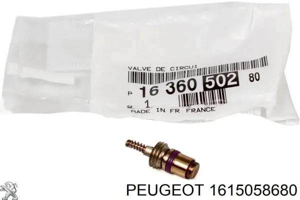  1615058680 Peugeot/Citroen
