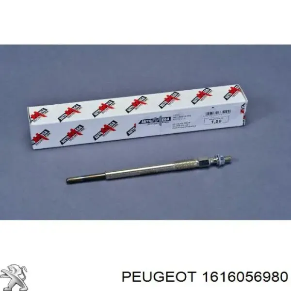 SKGP1890016 Market (OEM)