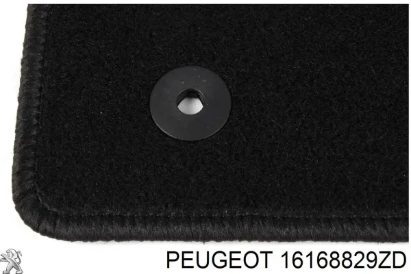  16168829ZD Peugeot/Citroen