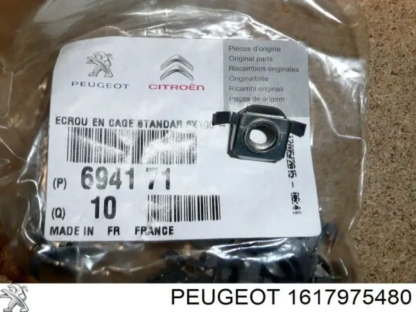  1617975480 Peugeot/Citroen