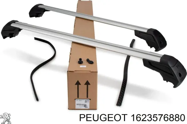  1623576880 Peugeot/Citroen
