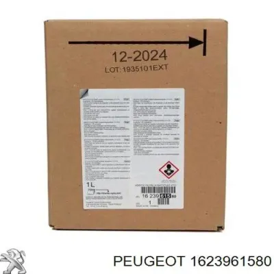 Líquido para limpieza de filtros de partículas diésel PEUGEOT 1623961580