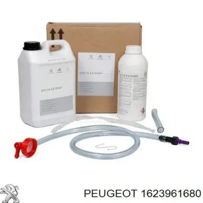 Líquido para limpieza de filtros de partículas diésel PEUGEOT 1623961680