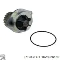 Kit de distribución Ford Focus HN