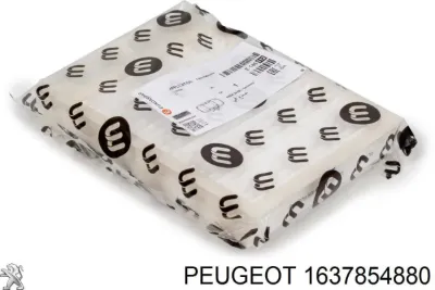 Refrigerante PEUGEOT 1637854880