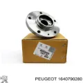 Mangueta delantera izquierda Peugeot 407 6E
